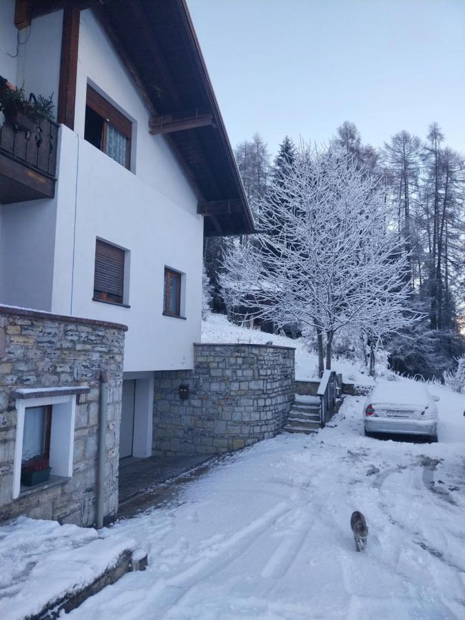 Ciasa De Milu Appartement Cibiana Buitenkant foto
